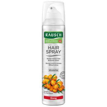 Fixativ Strong Aerosol 250ml Rausch