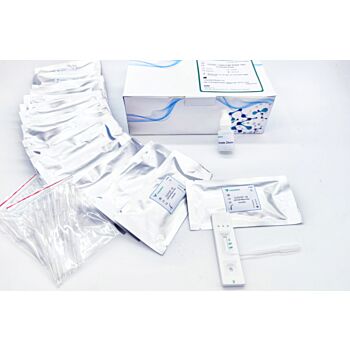 Test Rapid  Igg/Igm COVID-19