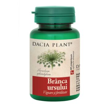 Branca Ursului60 Dacia Ursului