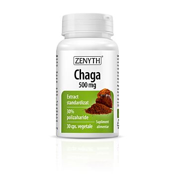 Chaga 500 mg