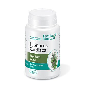 Leonurus Cardiaca forte 30cps Rotta Natura