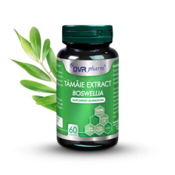 Tămâie extract – Boswellia DVR Plant