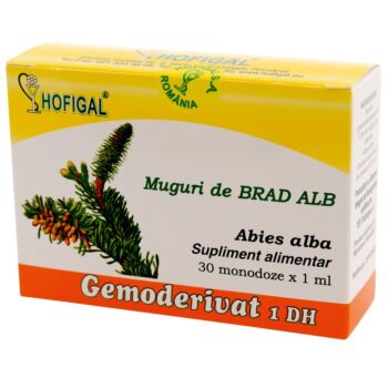 Muguri de brad alb - Gemoderivat30mon Hofigal