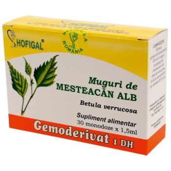 Muguri de mesteacan alb - Gemoderivat30mon Hofigal