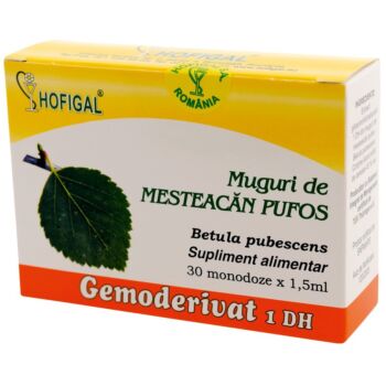 Muguri de mesteacan pufos - Gemoderivat30mon Hofigal