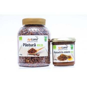 PACHET PĂSTURĂ 500G + PĂSTURĂ ÎN MIERE 200G