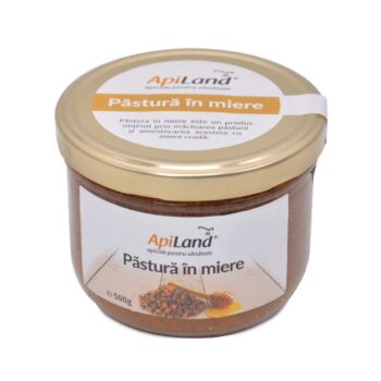 PĂSTURĂ ÎN MIERE 500 G