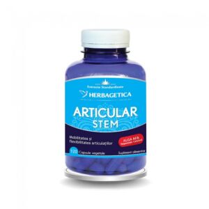 Articular Stem Herbagetica 120 Capsule