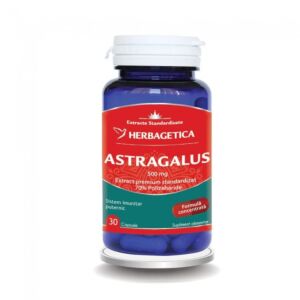 Astragalus  30 Capsule-Herbagetica