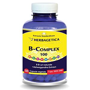 B Complex 100 120 capsule