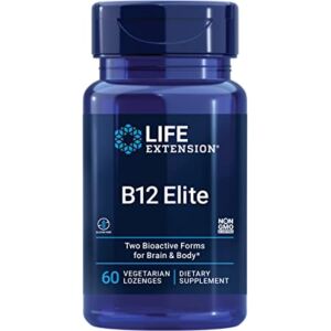 b12 elite life extension