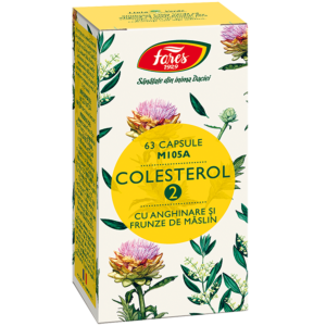 Colesterol 2 cu anghinare si frunze de măslin, M105A, 63 capsule