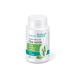 Suc de Orz Verde extract Rotta Natura