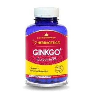 Ginkgo Curcumin95 120 capsule