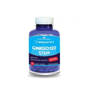 Ginkgo120 Stem 120 capsule