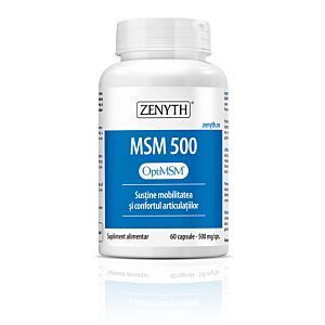 MSM 500 60 capsle/500mg