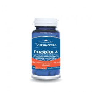 Rhodiola 3/1