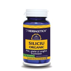 Siliciu Organic