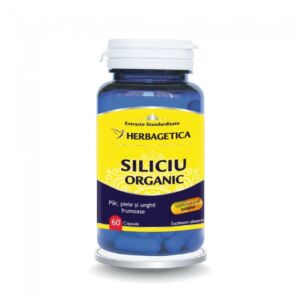 Siliciu Organic